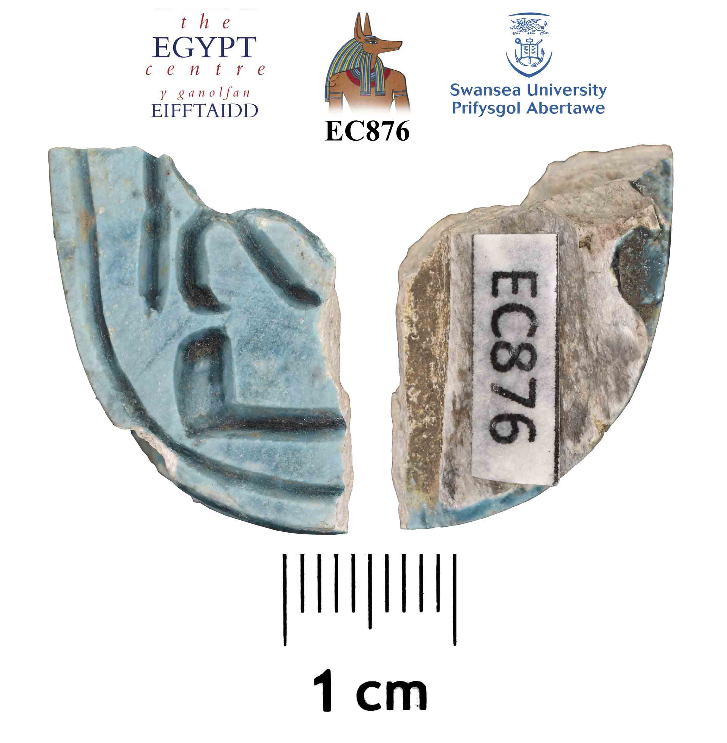 Image for: Fragment of a scarab